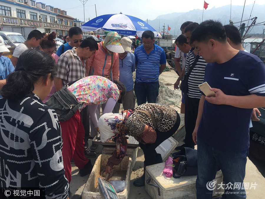 2017��9��1�գ����u�����ĸۖ|�O�a�^�_��ʢ�r��Ŀǰ������4���µ��ݝO���ѽY(ji��)�������н�600��vʷ��λ�����u�Ѝ�ɽ�^(q��)�����f�ֵ��ĸۖ|�O�a�^9��1������12�c��ʽ�_����