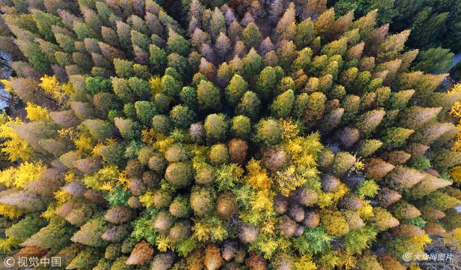 2017��11��14�������ĝ���Ȫ�ǹ��@���^(q��)����һ�ӵ�ҕ�Ǹ��ȫ��������_����ֲ����ͬͯԒ���������һ����