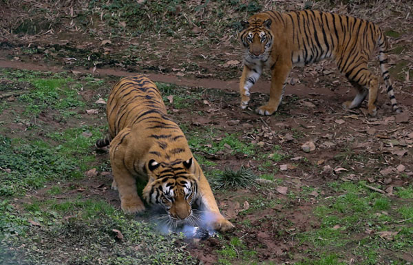 �fԪ�o�˙C(j��)�����ϻ� ��һ�Ɠ���ð�⟟