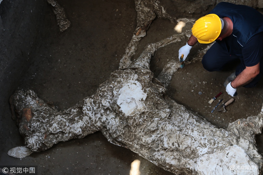 ��(d��ng)?sh��)ؕr(sh��)�g2018��5��10�գ����������ؐ�ų��zַ�°l(f��)�����S�����������{���Ņ^(q��)���������ˆT�����ھ�ĵص���(n��i)���l(f��)�F(xi��n)��һ�����R�Ě������@�������ɹ�Ԫ79��S�K����ɽ���l(f��)��ɵ���