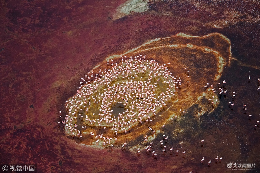 ��(d��ng)?sh��)ؕr(sh��)�g2018��6��20�գ����޿��၆��̹ɣ�၆߅�磬53�q������(gu��)�I(y��)���zӰ��Hao Jiang�R�^���ڼ{��¡���ۼ��Ļ����B�M����һֻ����ħ���۾�����