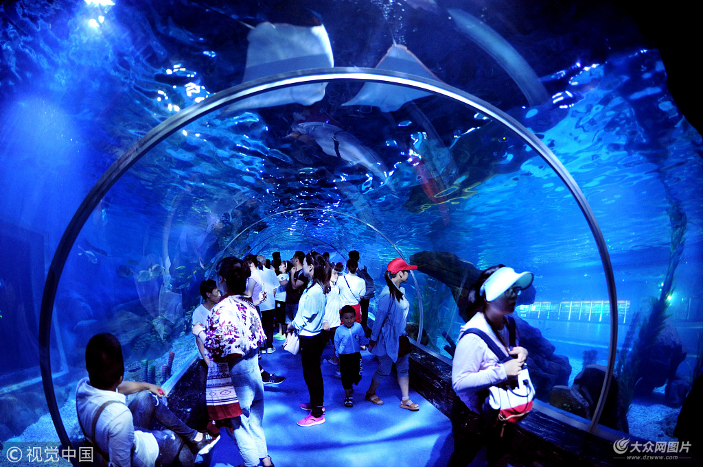 2018��7��7�գ���ֵ��ٵ�һ���p���գ����K�B�Ƹ��к�������ӭ�����S���W���ο͡�����:����/ҕ�X�Ї�