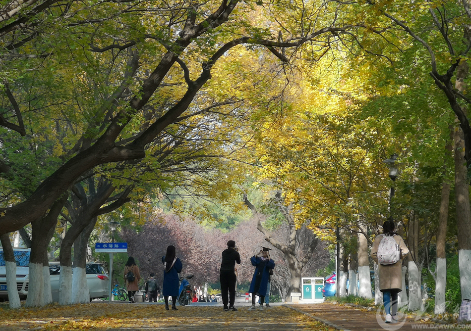 �D1 ���^���磬ɽ������·��׃У�@�򿨄ٵ� �󱊾Wӛ�� ����.jpg