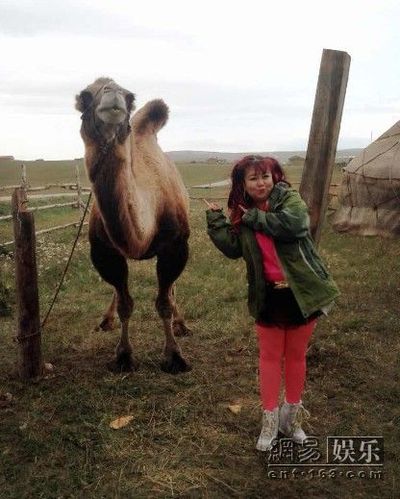 �����ڡ�����Ӣ�ۡ��Ĕz�F����