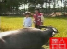 �M�D���~�ˠ�-�ܿ��d�Ї������F��Ƭ�ع�