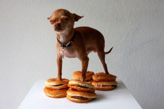 ��ģ�c�i��Ӿ ţ�ː��㲻֪��ߵغ񣨽M�D��