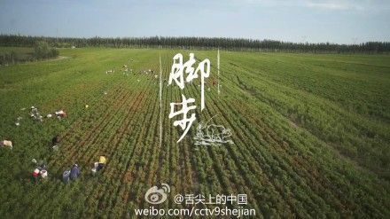 ��һ�����_�����Pע�l���c׃�w