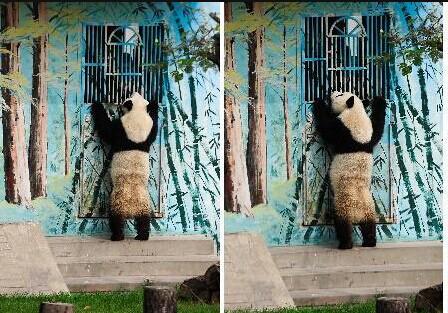 ����؈�^���՟oҕ������ ���T�󴵿��{(di��o)��(�D)