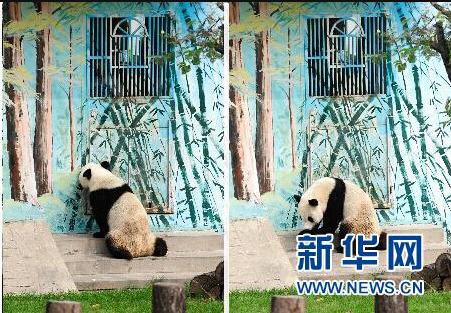 ����؈�^���՟oҕ������ ���T�󴵿��{(di��o)��(�D)